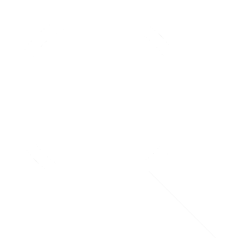 magnifying glass icon